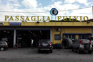 Passaglia Fulvio - Viareggio